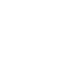 動態密度解析