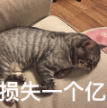 wechat 2025 07 18 110358 011