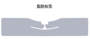 BNRX